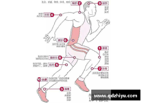 NBA肘部肌肉及韧带损伤的治疗与康复策略